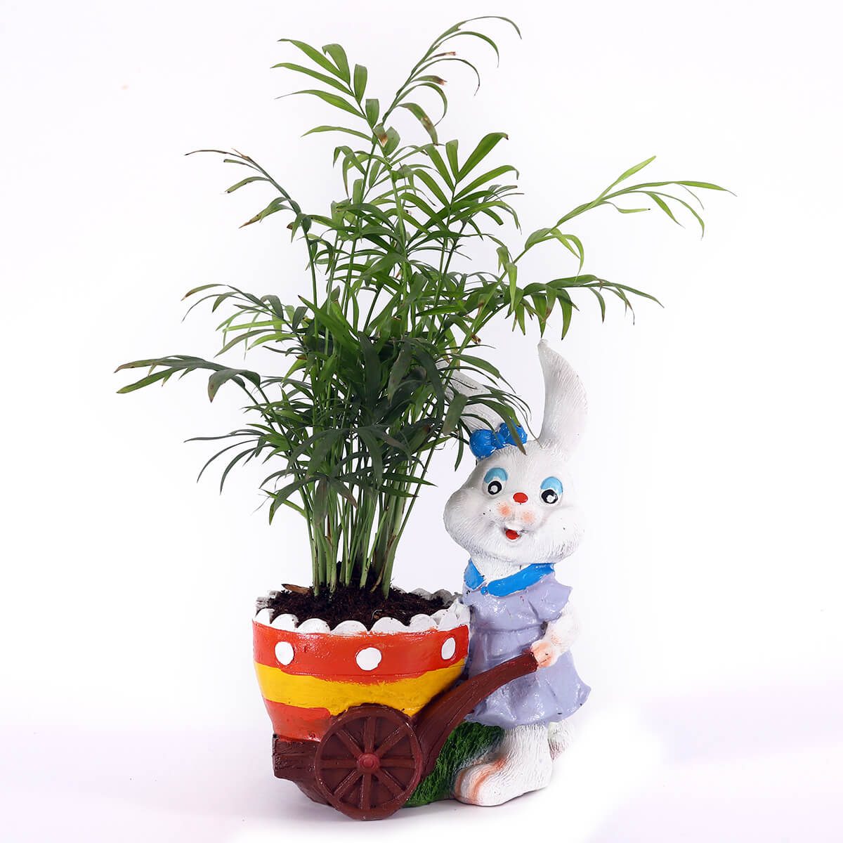 Palm in Cart Character Planter