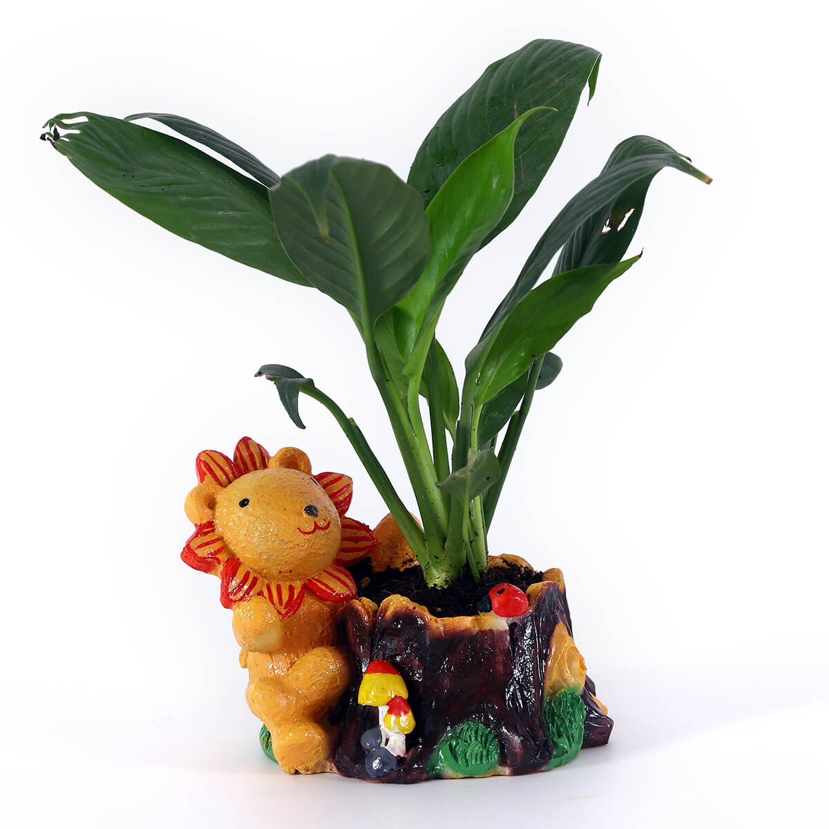 Green Foliage Plant in Lion Planter
