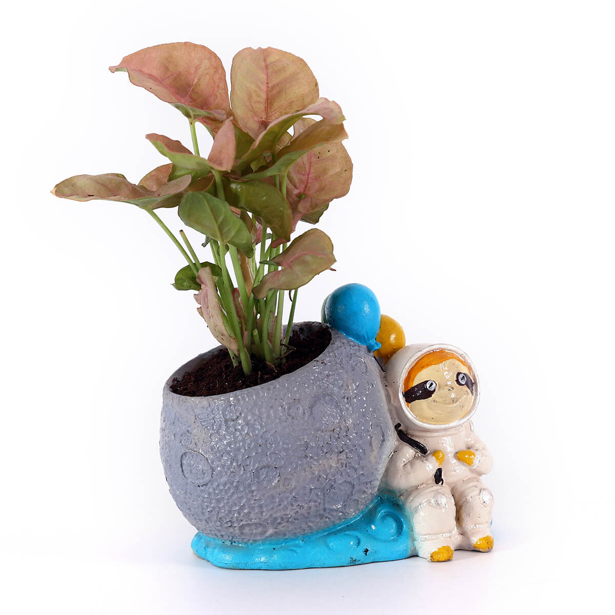 Pink Syngonium in Astronaut Planter