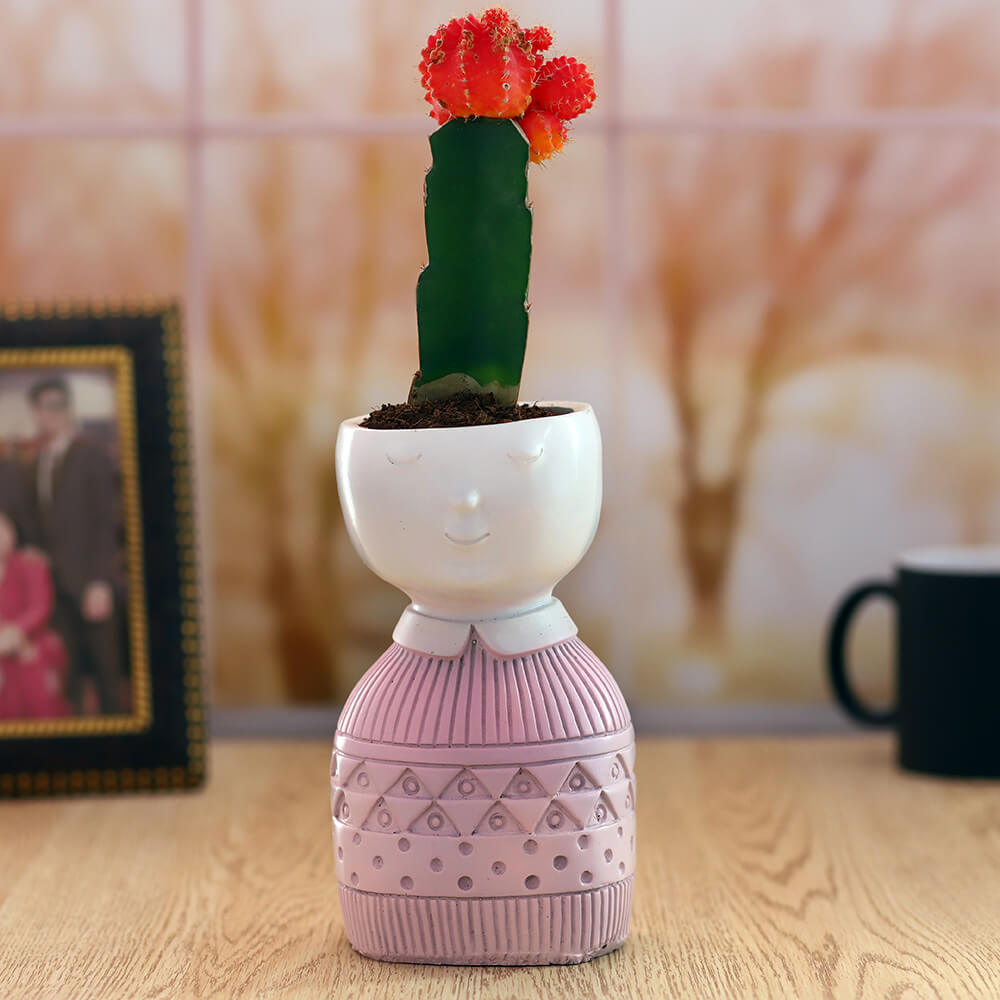 Flowering Cactus in Pink Pedestal Planter