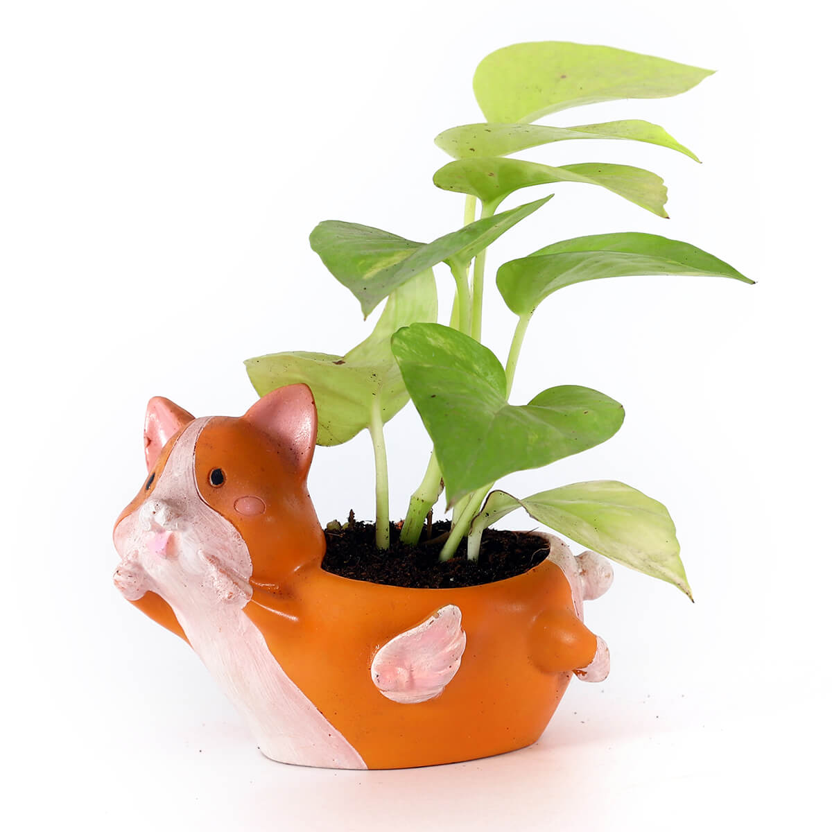 Neon Pothos in Orange Animal Planter