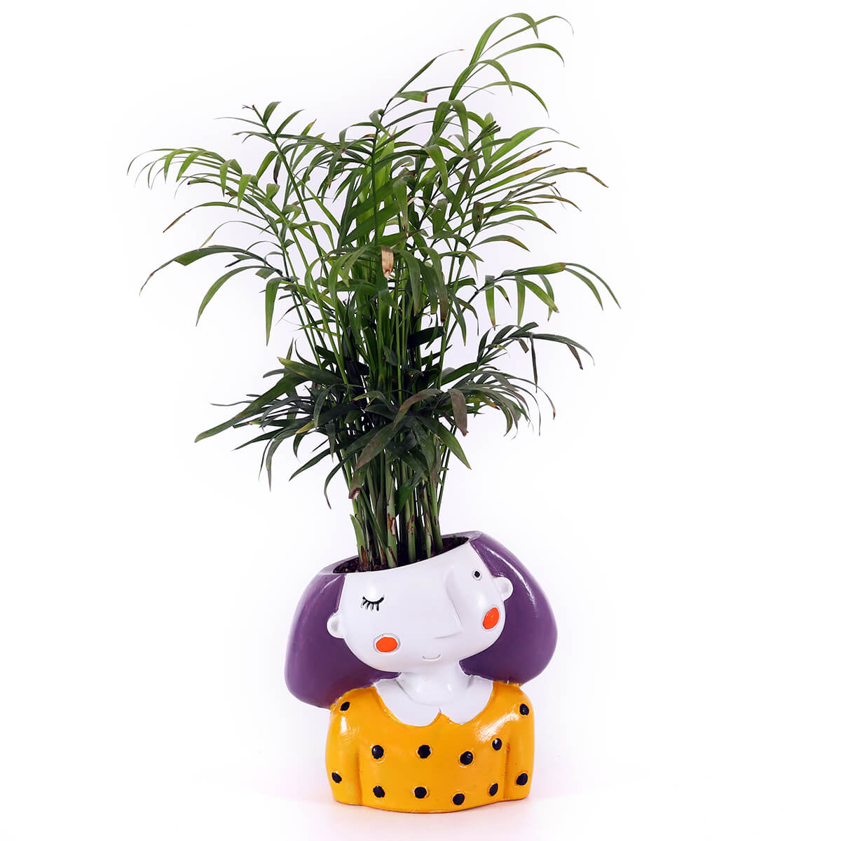 Palm in Yellow Girl Planter