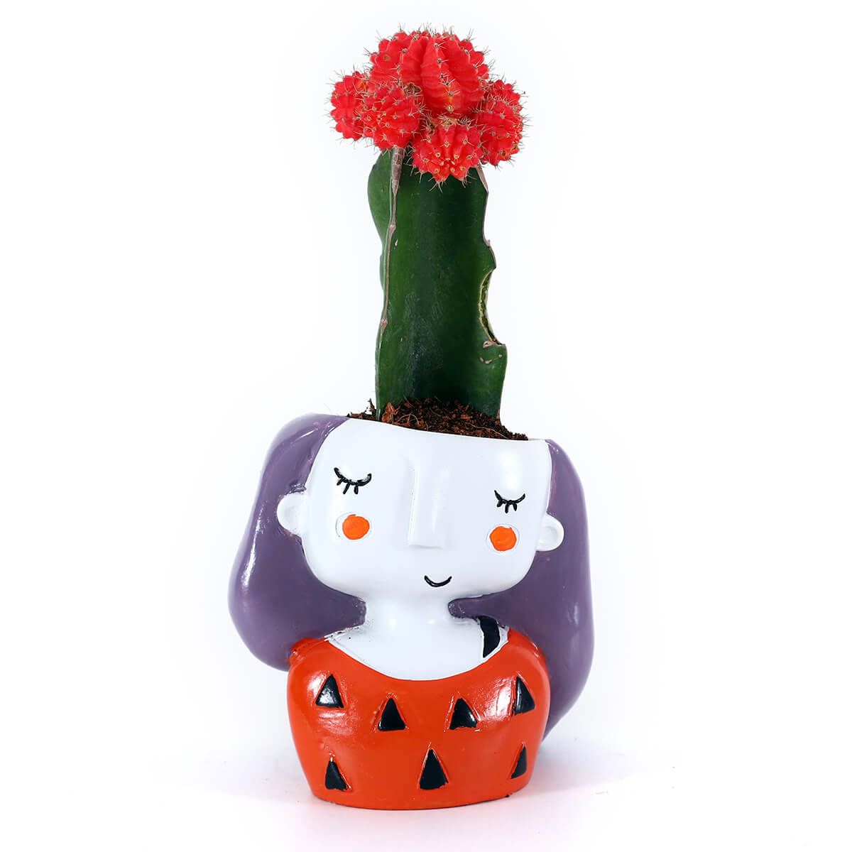Flowering Cactus in Red Girl Planter