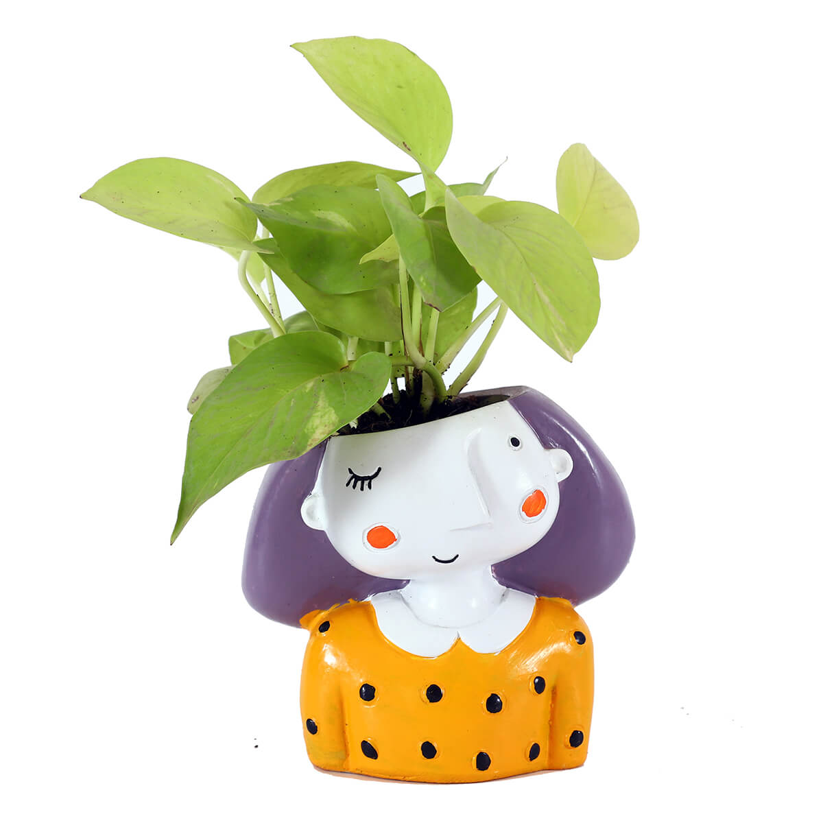 Neon Pothos in Yellow Girl Planter