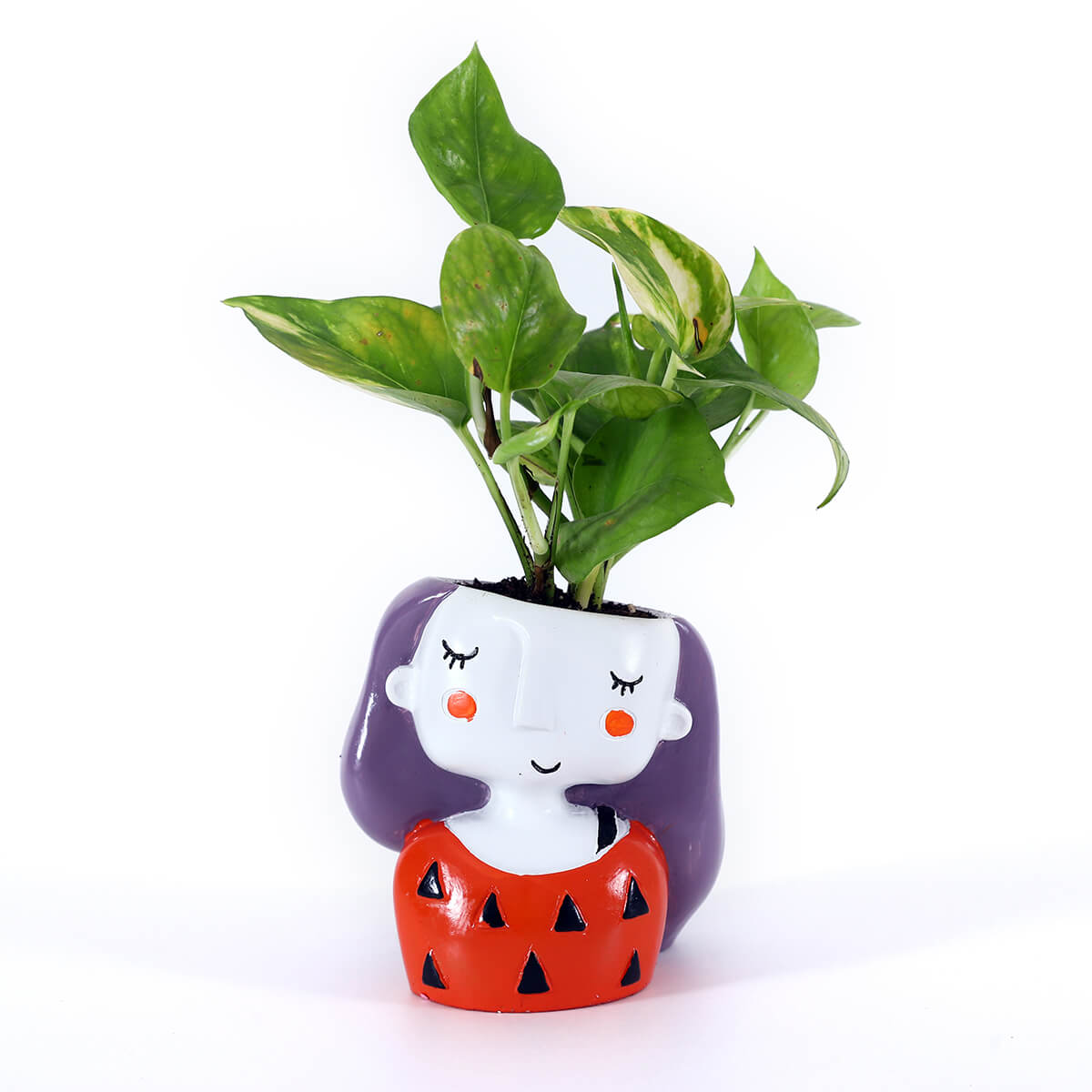 Money Plant in Red Girl Planter