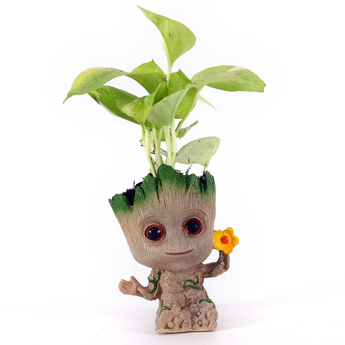 Neon Pothos in Baby Tree Character Planter