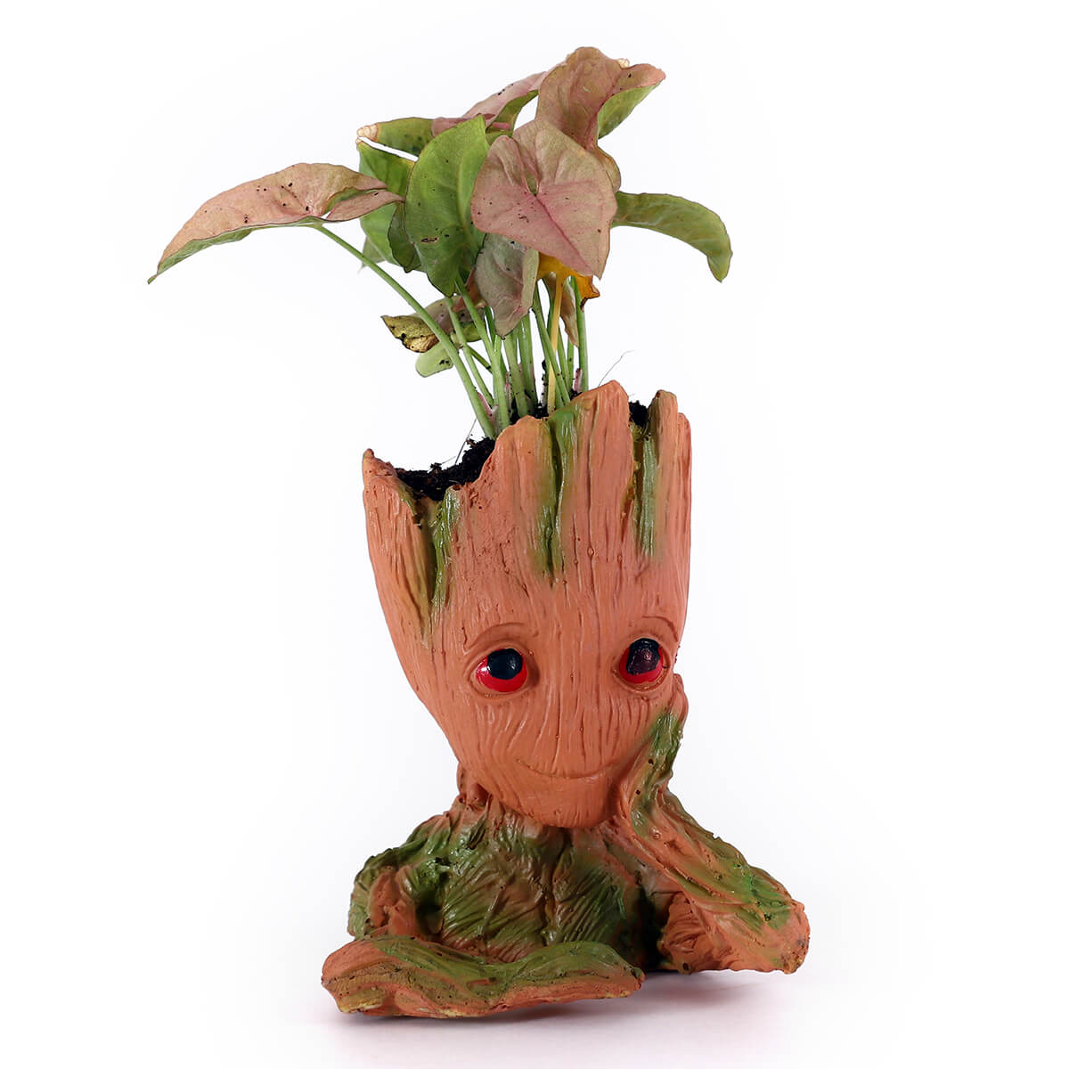 Pink Syngonium in Tree Character Planter