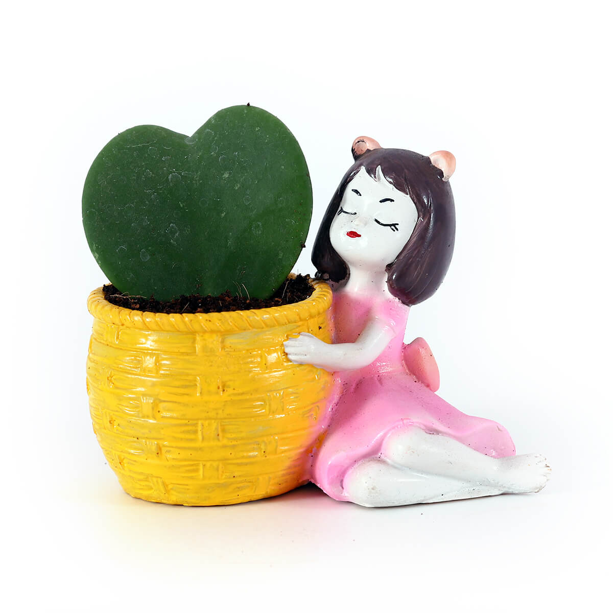 Hoya Heart in Yellow Girl Companion Planter