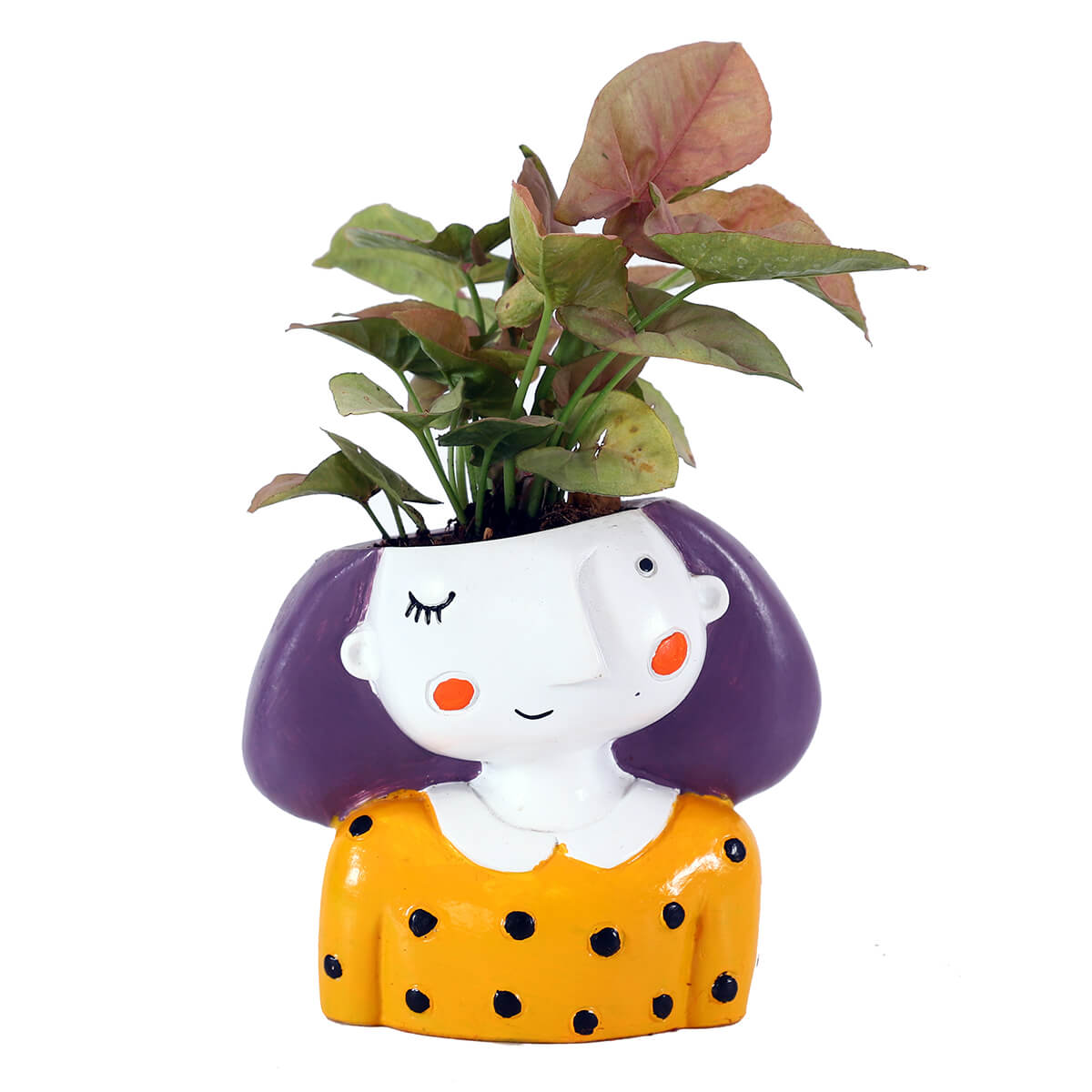 Pink Syngonium in Yellow Girl Planter