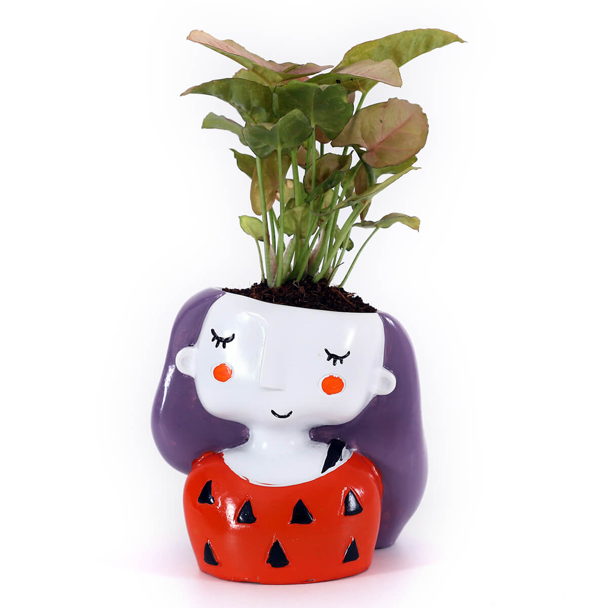 Pink Syngonium in Red Girl Planter