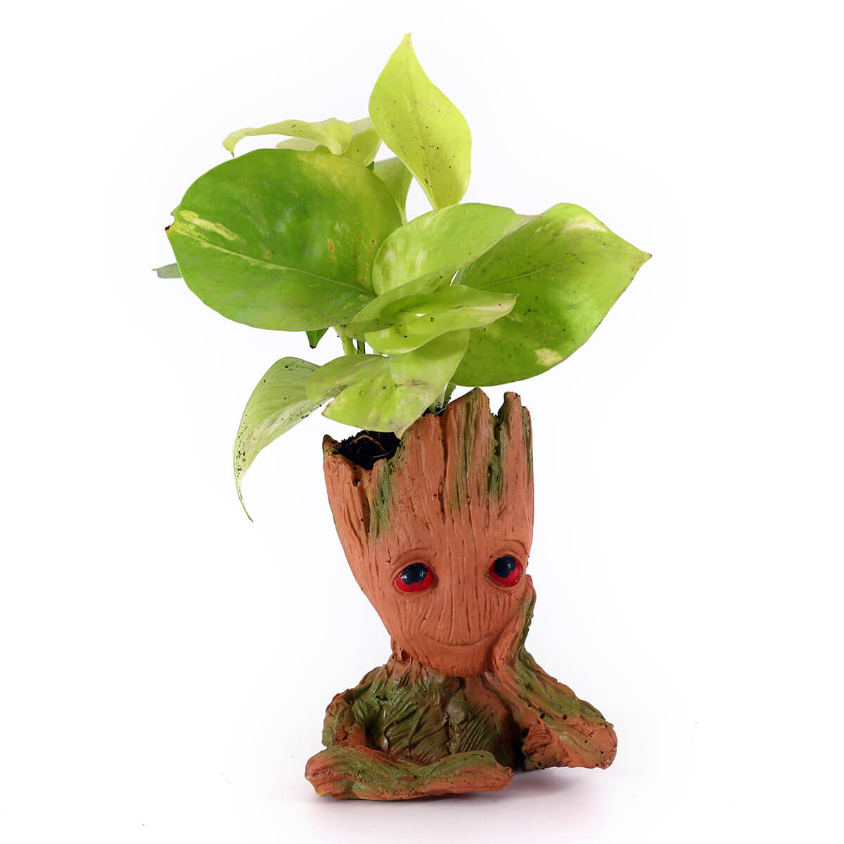 Neon Pothos in Tall Tree Character Planter