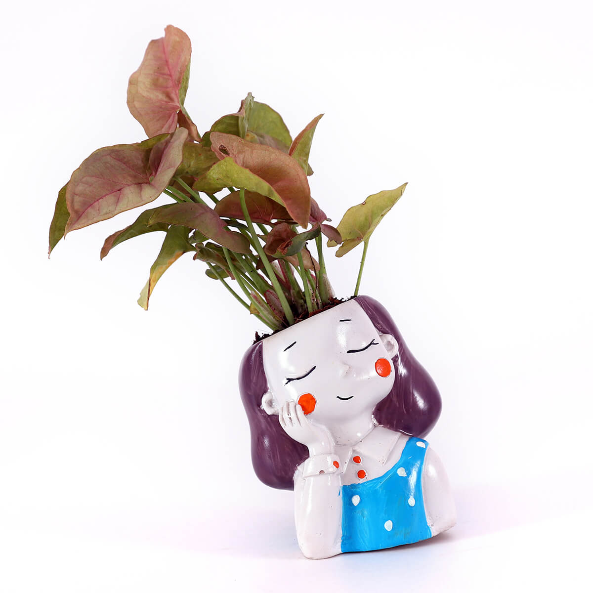 Pink Syngonium in Blue Girl Planter