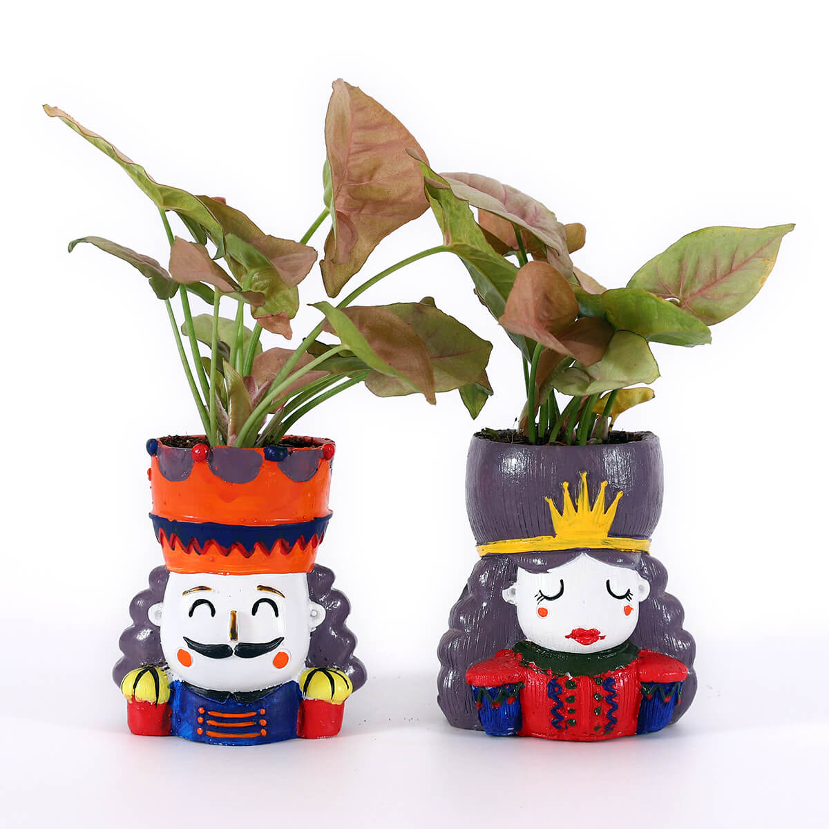 Pink Syngonium in Royal Couple Planters