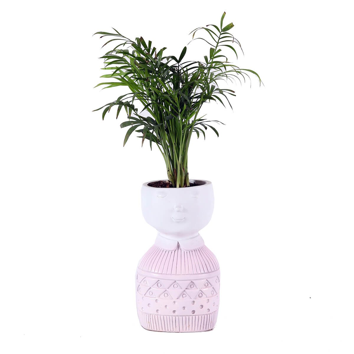 Palm in Pink Pedestal Planter