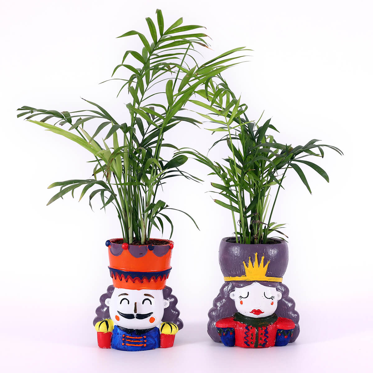 Palms in Royal Couple Planters