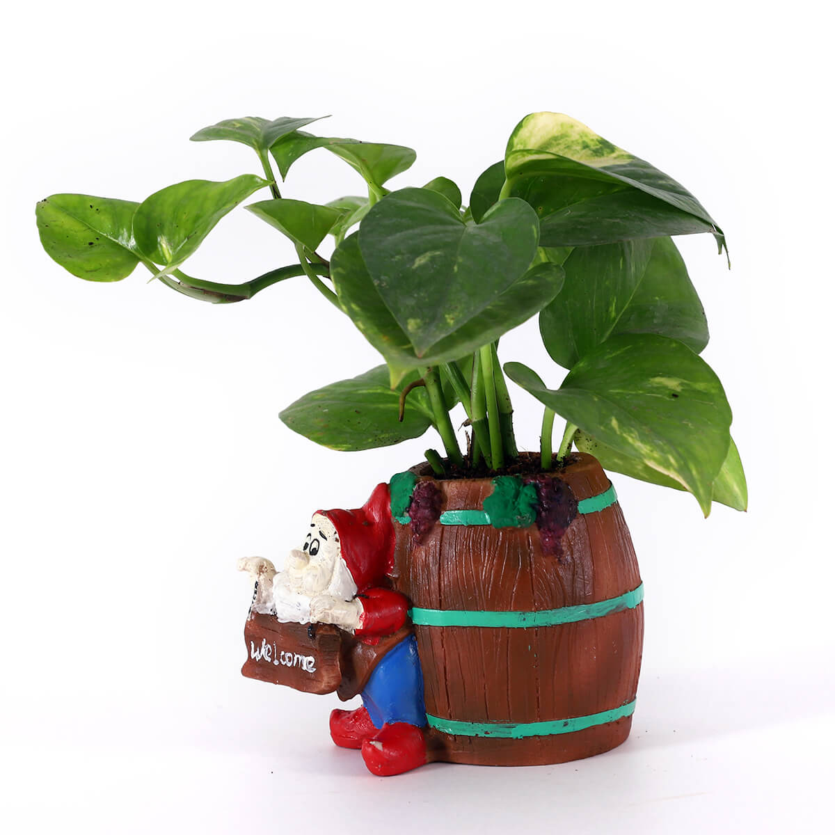 Money Plant in Barrel Character Planter