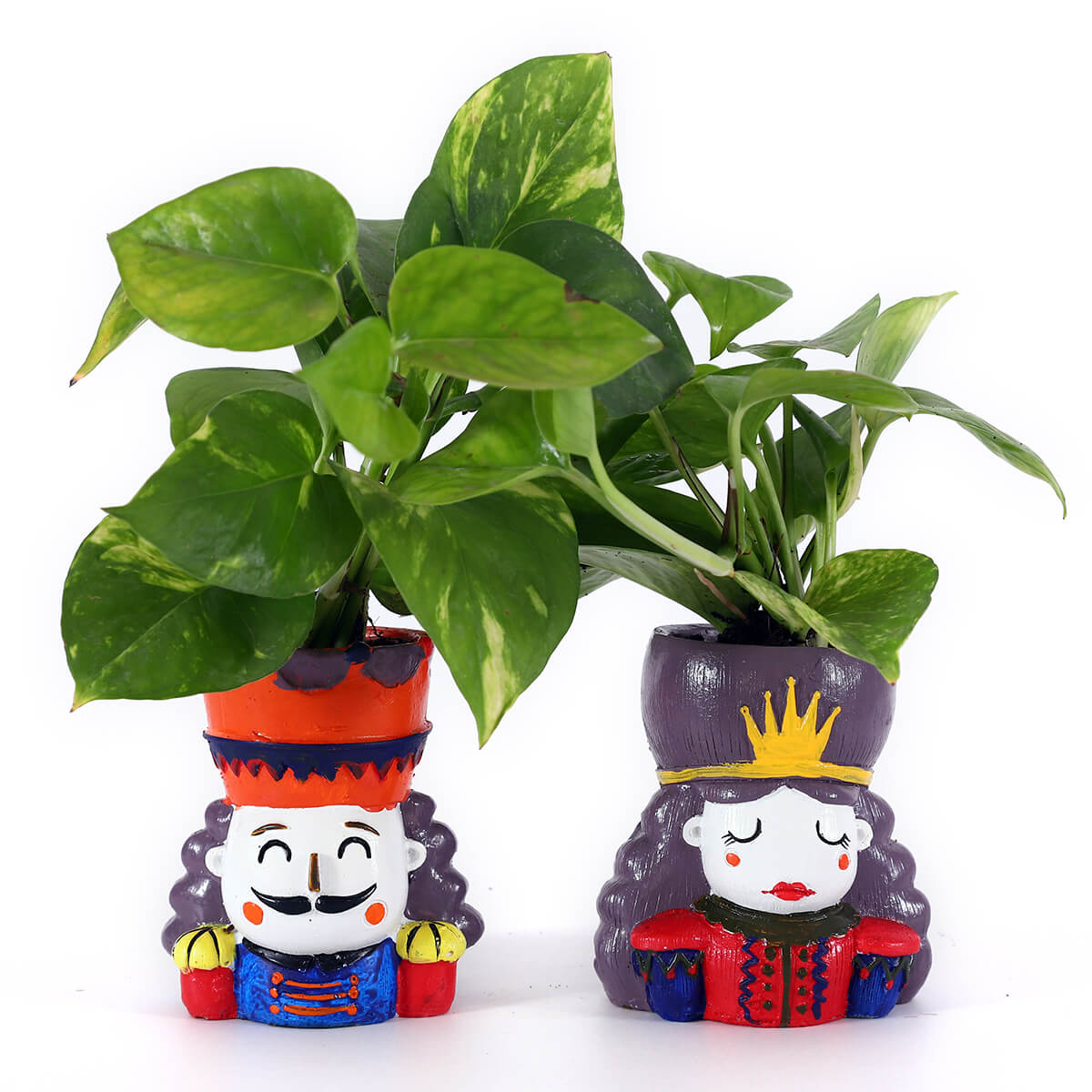 Money Plants in Royal Couple Planters