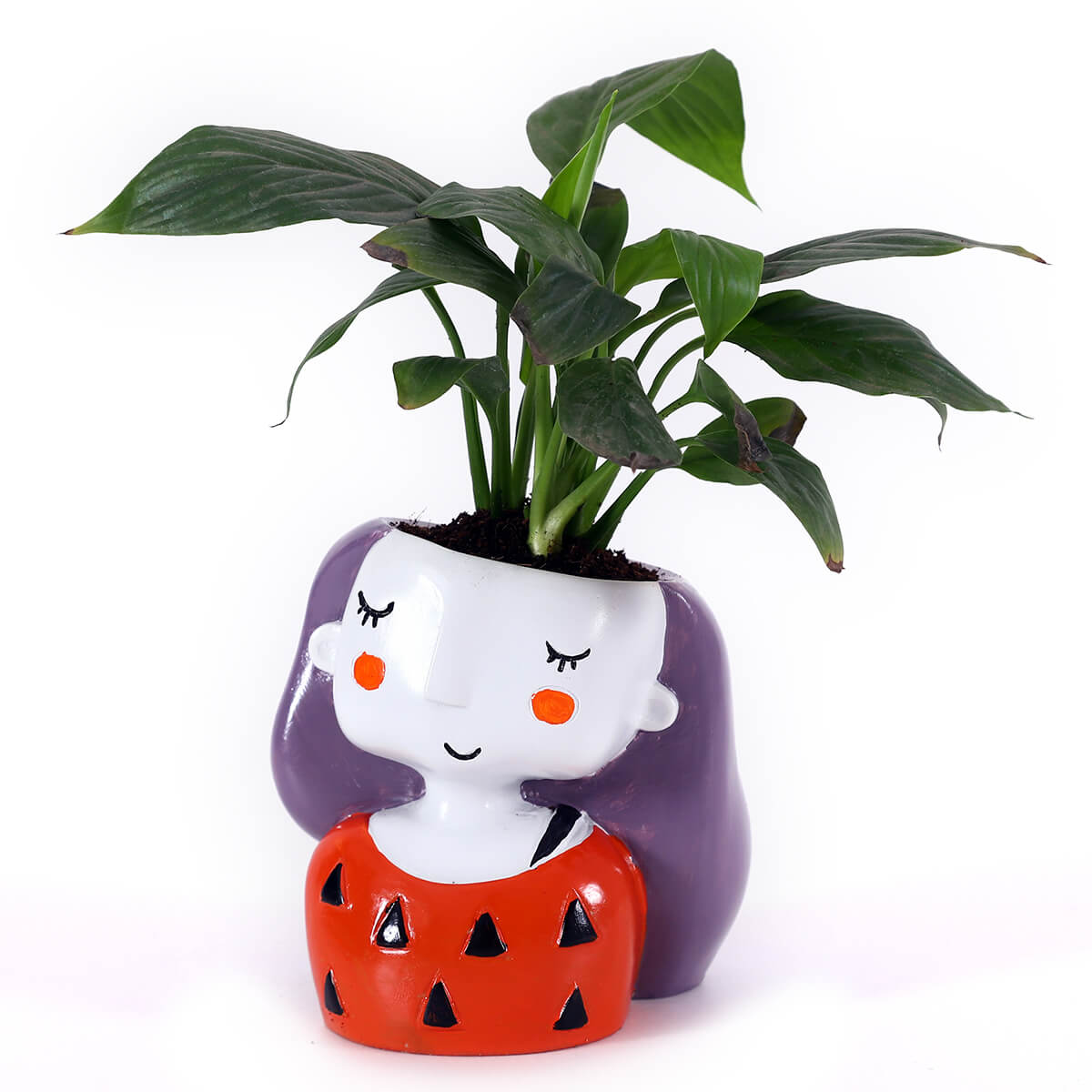 Green Foliage Plant in Red Girl Planter
