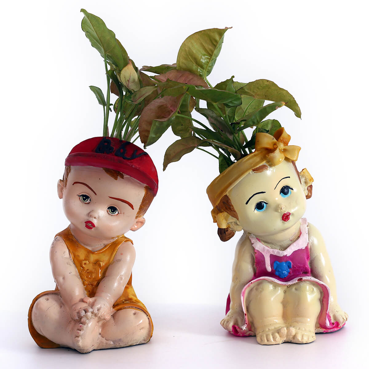 Pink Syngonium in Cute Couple Planters