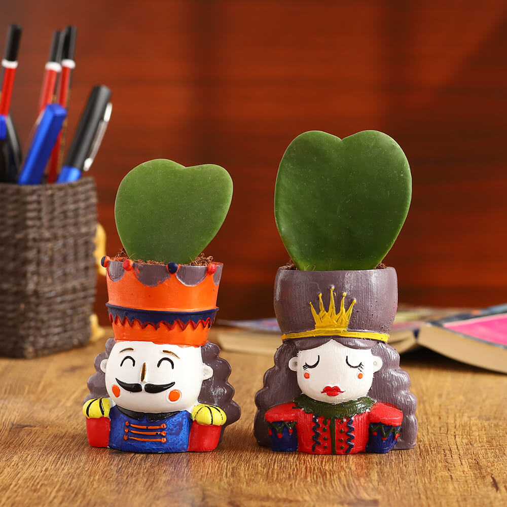 Hoya Hearts in Royal Couple Planters