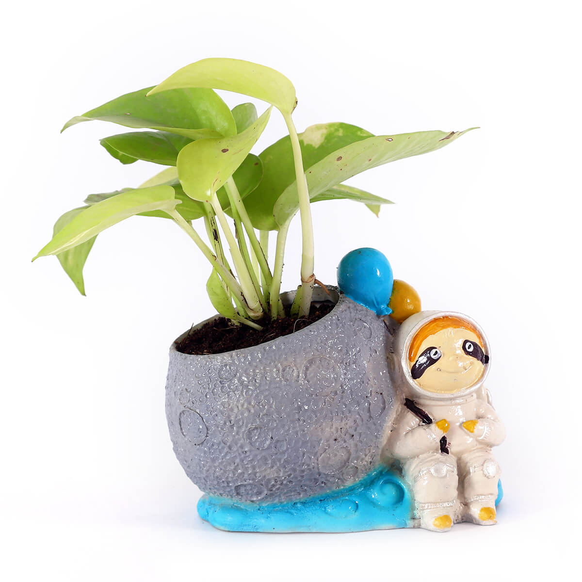 Neon Pothos in Astronaut Planter