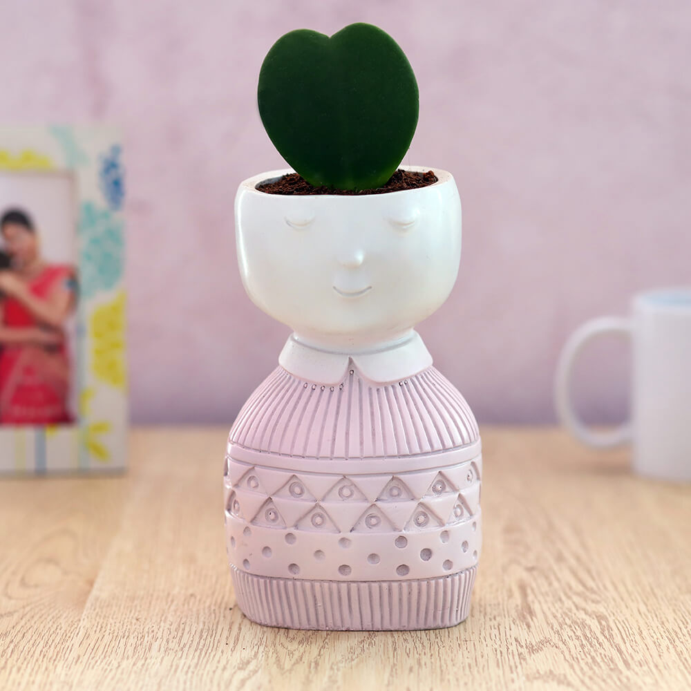 Hoya Heart in Pink Pedestal Planter