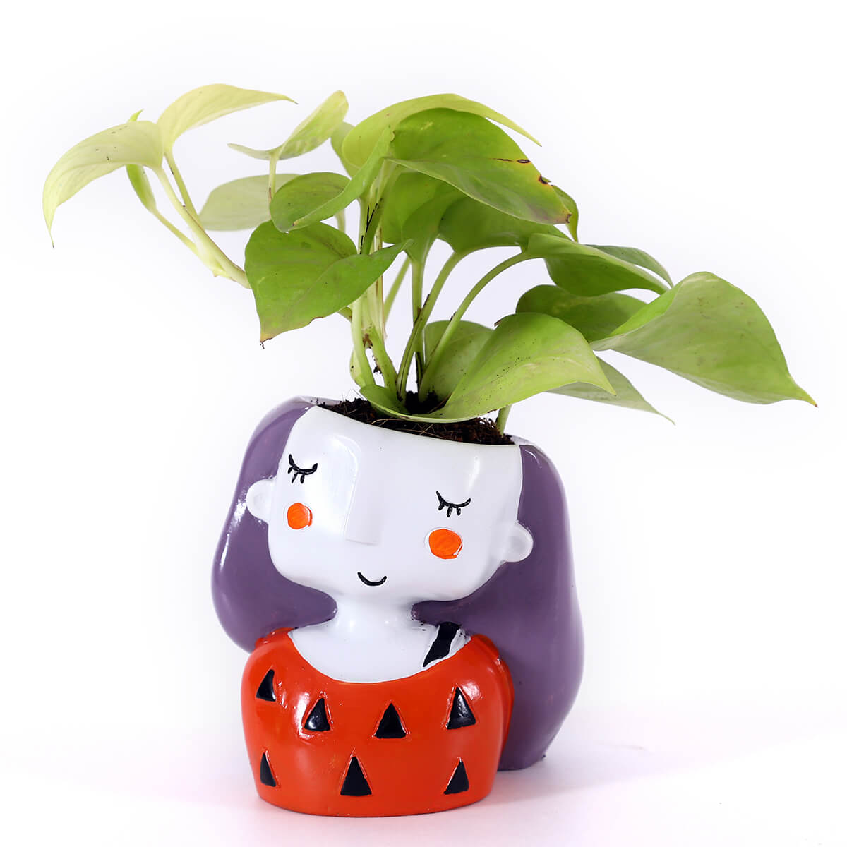 Neon Pothos in Red Girl Planter