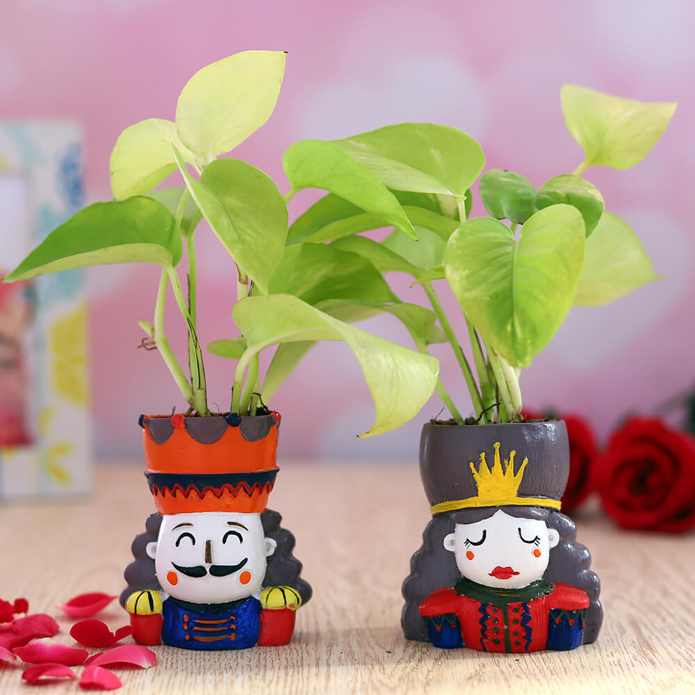 Neon Pothos in Royal Couple Planters