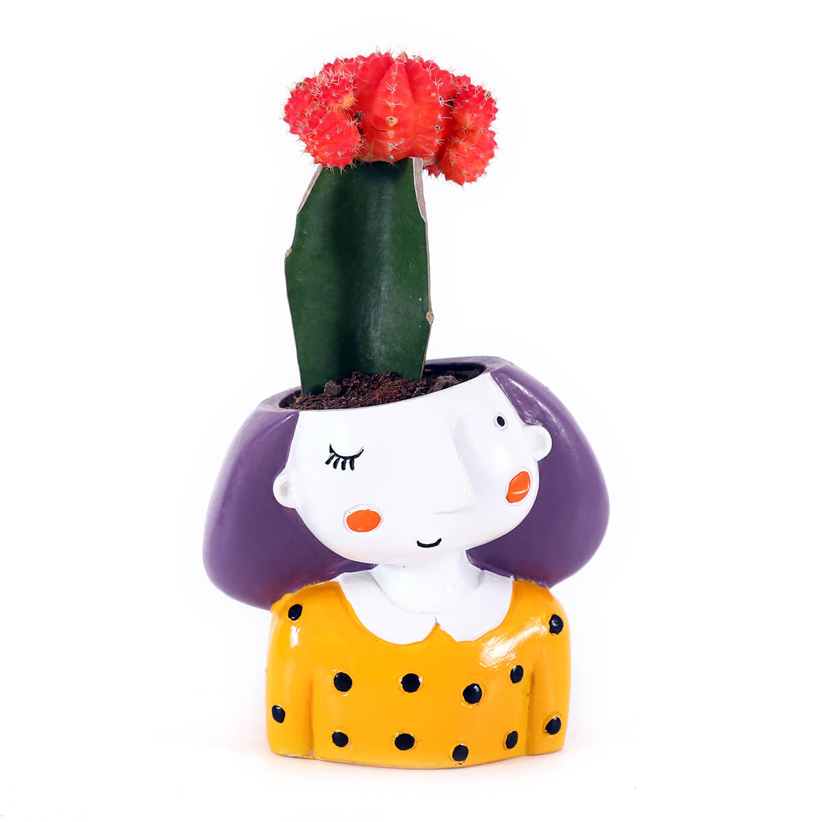 Flowering Cactus in Yellow Girl Planter